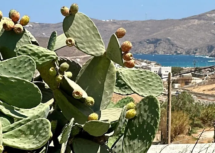 Eleni's Village Διαμέρισμα